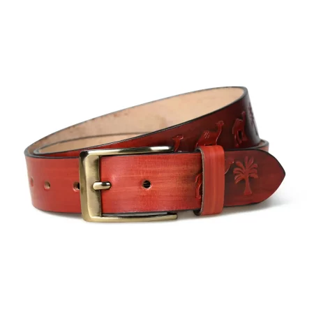 Close-up of rusty red leather belt.